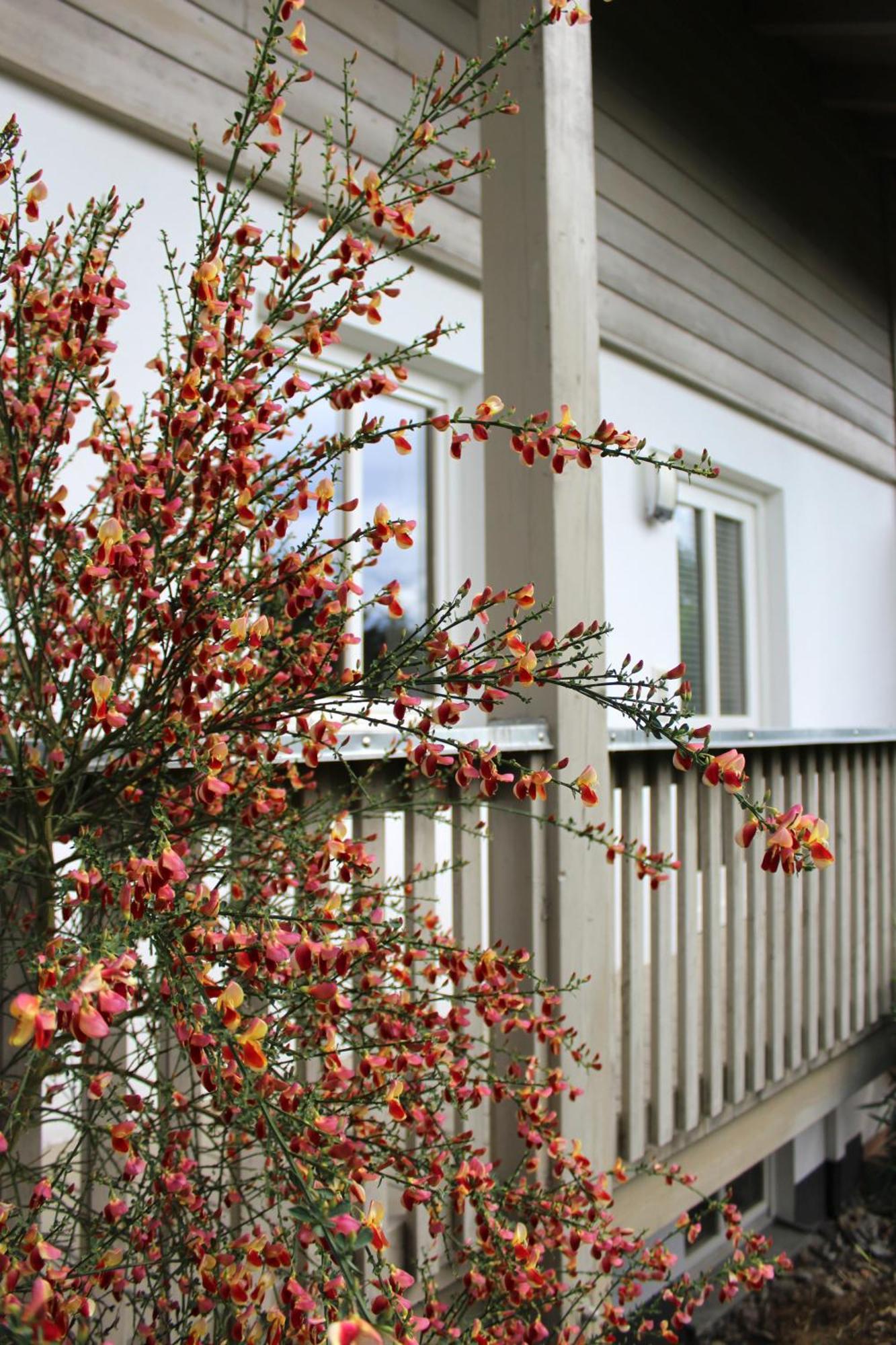 Ferienwohnung Woidblick ครัคเซลสรีด ภายนอก รูปภาพ